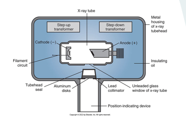 <ul><li><p>step up transformer</p></li><li><p>step down transformer</p></li><li><p>cathode</p></li><li><p>anode</p></li><li><p>aluminum disk</p></li><li><p>tubehead seal</p></li><li><p>position indicating device</p></li><li><p>unleaded glass</p></li><li><p>insulating oil</p></li><li><p>metal sealing</p></li><li><p>lead collimator window </p></li></ul><p></p>
