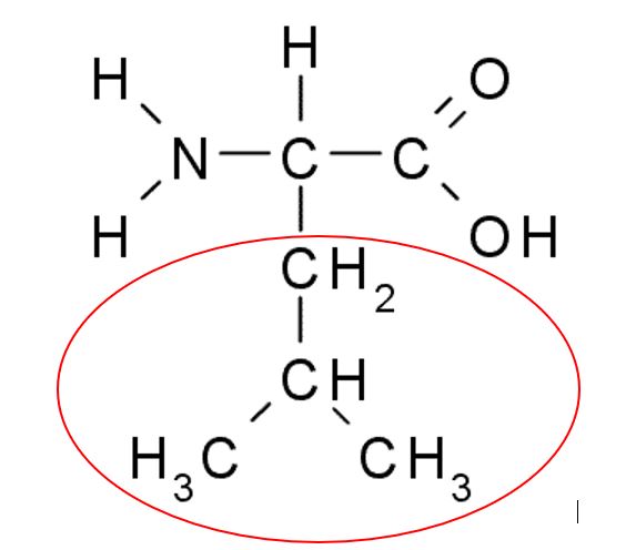 <p>How can this amino acid be classified?</p>