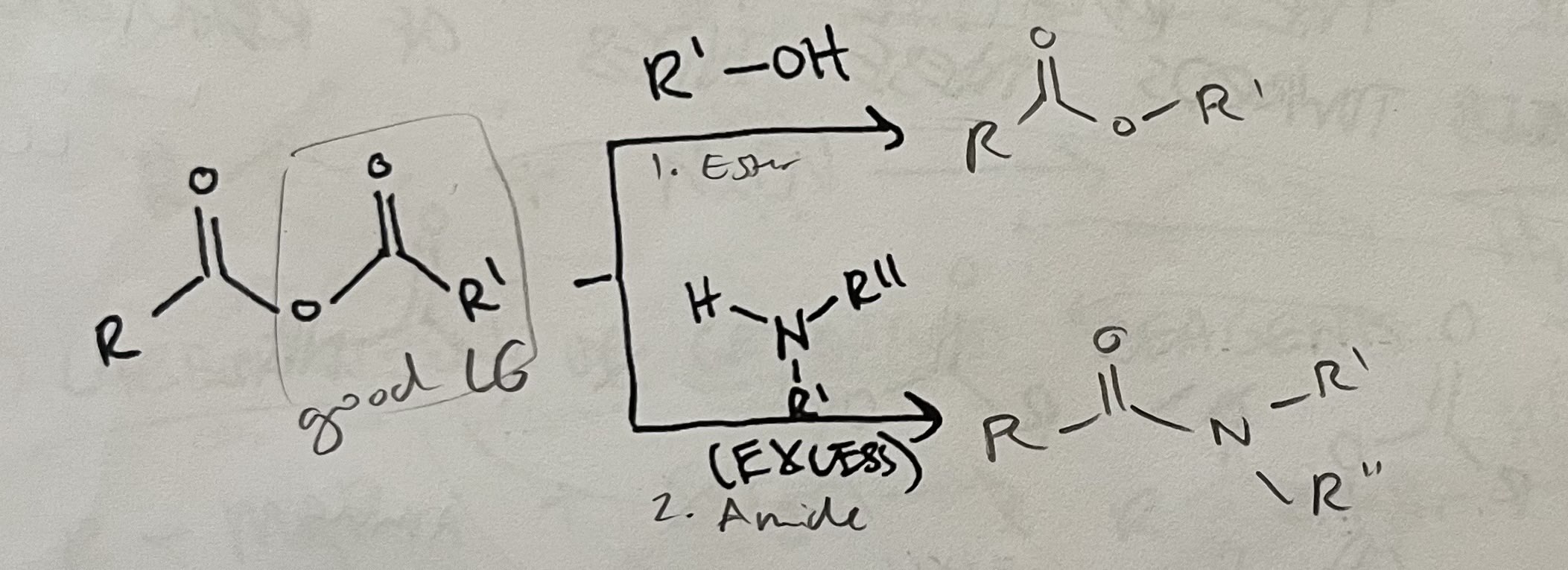 <p>Reactions of Anhydrides</p>