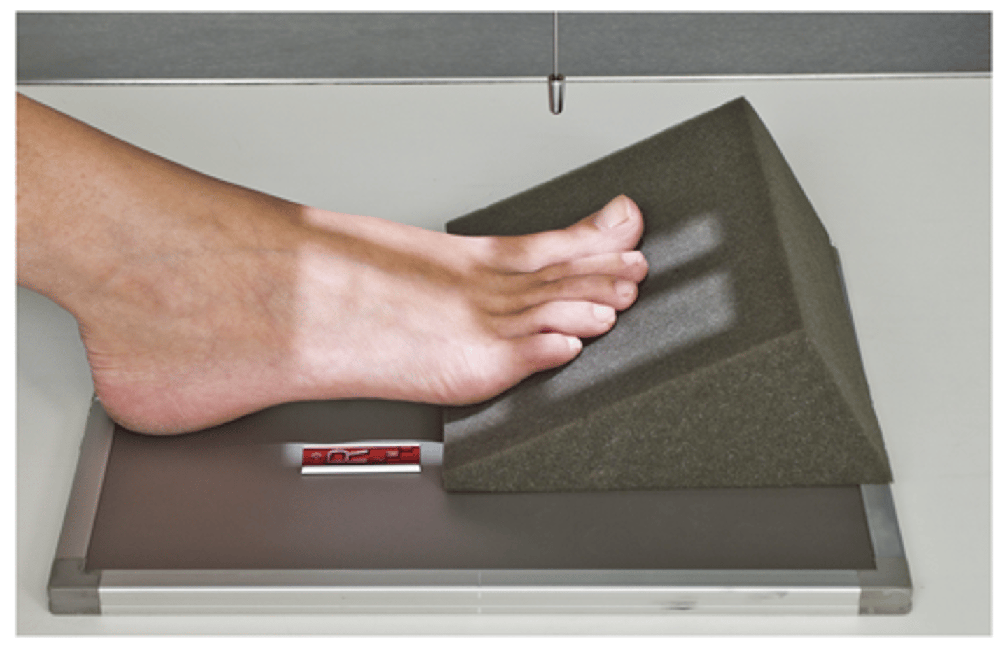 <p>What projection is this?</p>