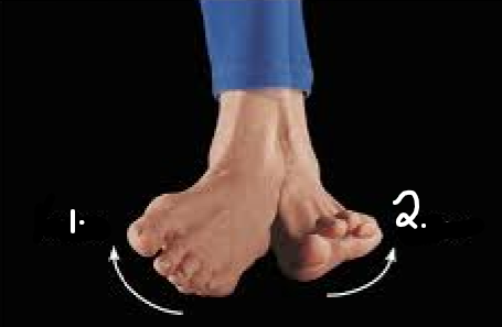 <p>Name joint movement for 2.</p>