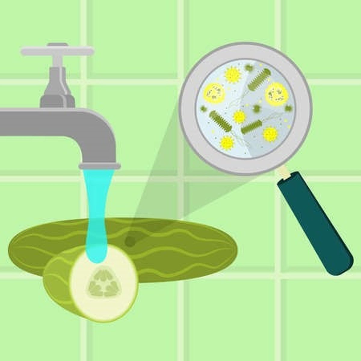 <p>the place where an infectious agent (microorganism) can survive (chain of infection element #2)</p>