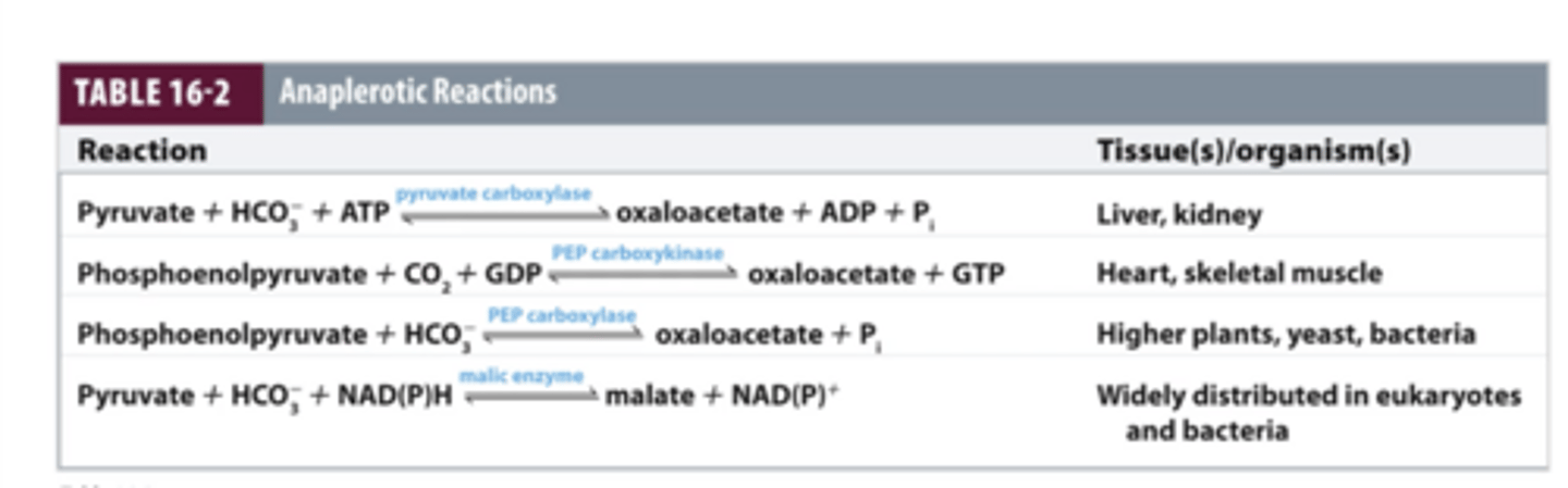 <p>Oxaloacetate is main product of these replenishing reactions in order to continue doing CAC</p><p>- Malate is a product since it is one step away from oxaloacetate</p>