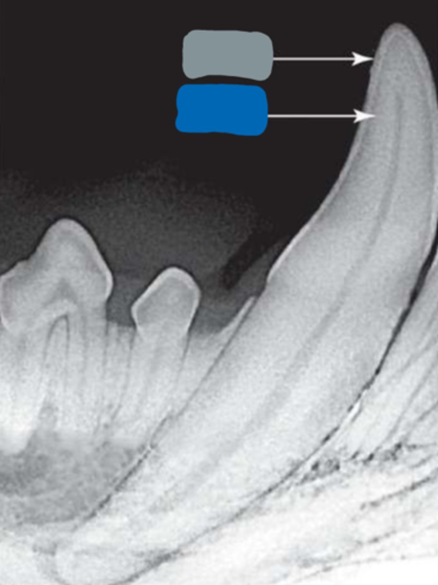 <p>What is the blue box in the image pointing to?</p>