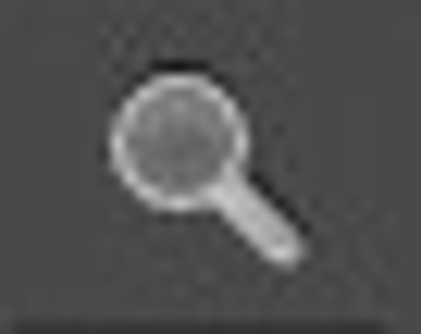 <p>Increases and decreases the view magnification in the illustration window.</p>