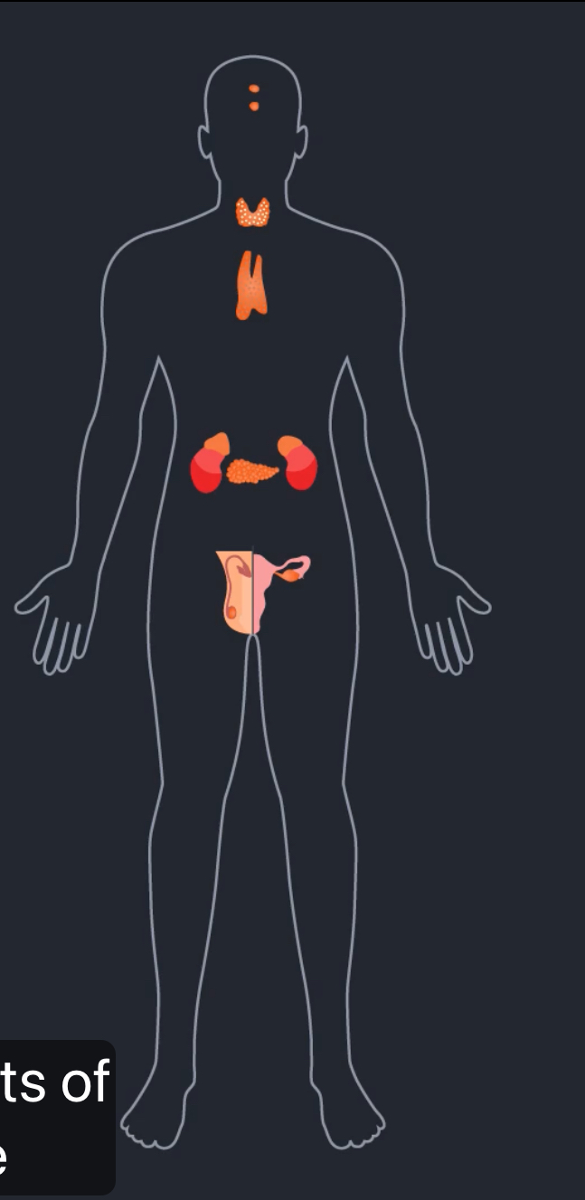 <p>What kind of organ system is this?</p>