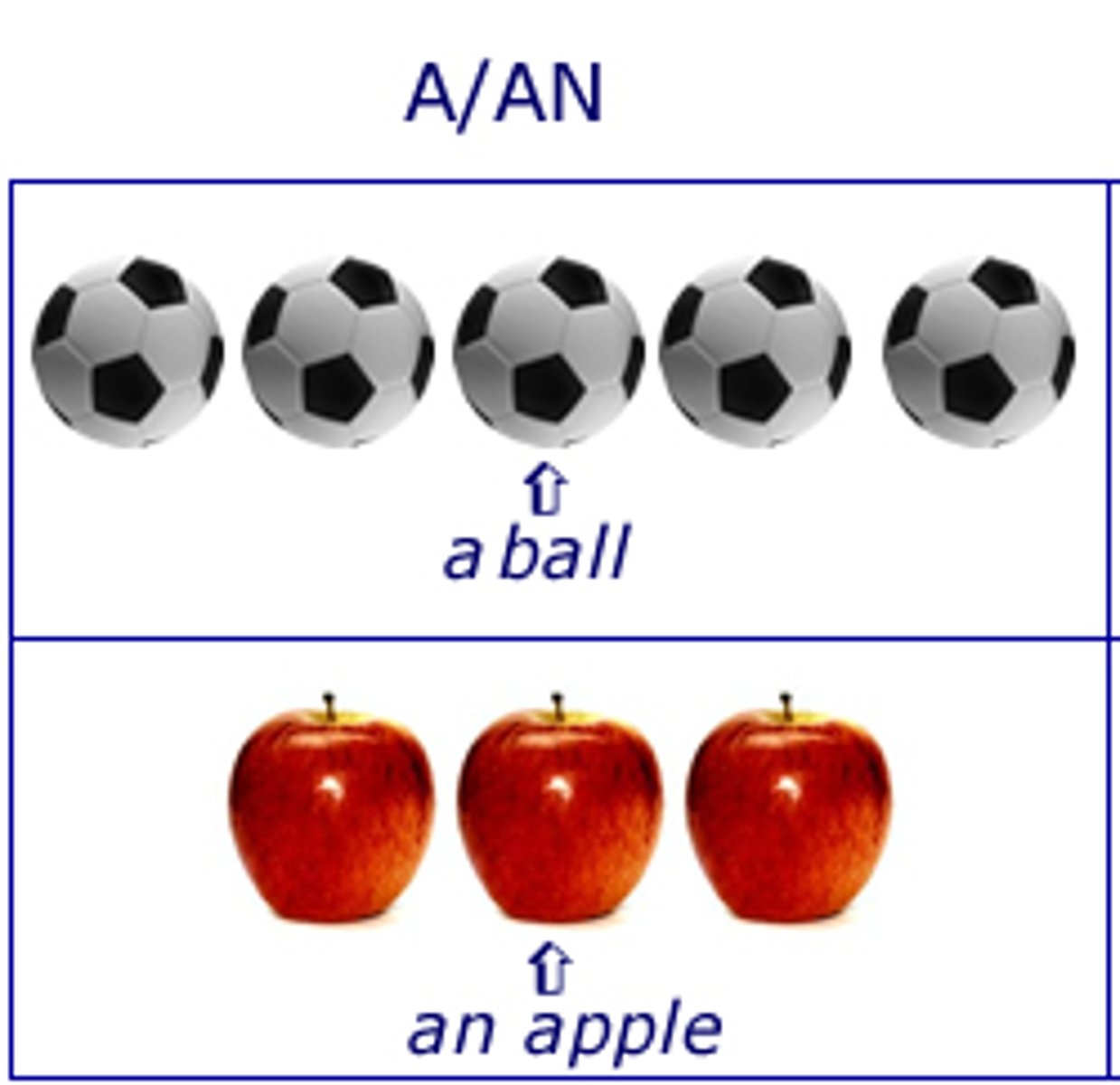 <p>Express notions like definiteness, quantity, number and possession. They determine what noun follows; count, mass, concrete, abstract. E.g. the, a, an, my, his, yours</p>