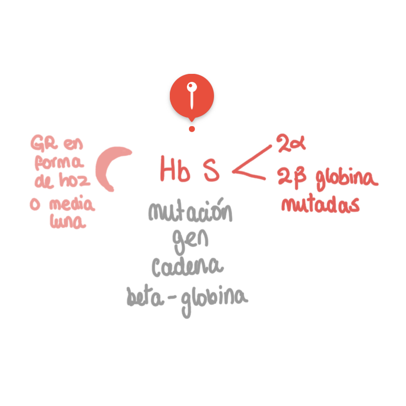 <p></p>