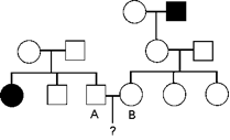 <p>The following pedigree concerns the autosomal recessive disease Phenylketonuria (PKU). The couple marked A and B are contemplating having a baby but are concerned about the baby have PKU. What is the probability of the first child having PKU? unless you have evidence to the contrary, assume that the a person marrying into the pedigree is not a carrier. The filled-in individuals have PKU</p>