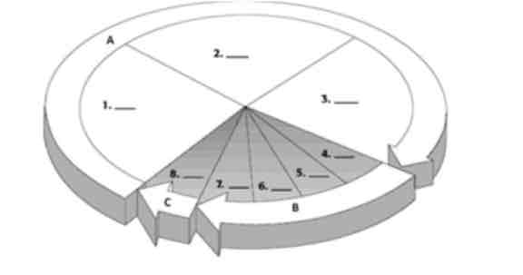 <p>Steps 1 - 3 in the cell cycle are in what group?</p>