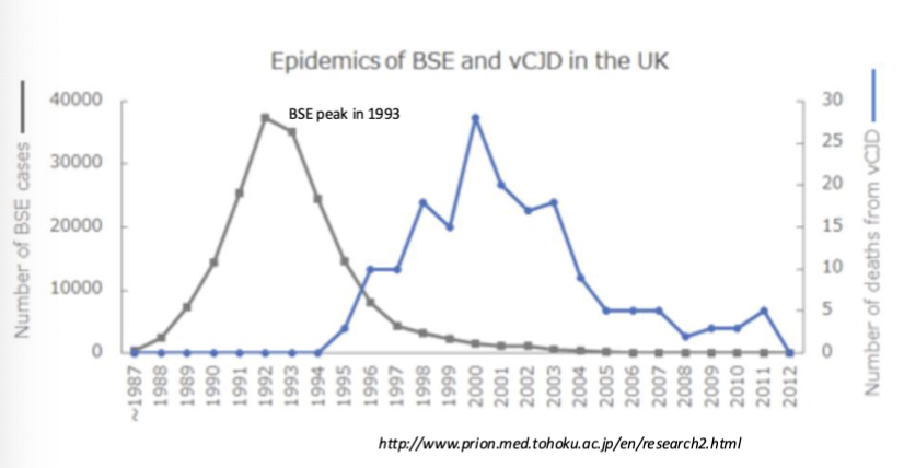 <ul><li><p>added ruminants (brain material) to cow feed</p></li></ul><ul><li><p>cows to develop Mad cow disease</p></li><li><p>people that ate the cows developed vCJD years later</p></li></ul><p></p>