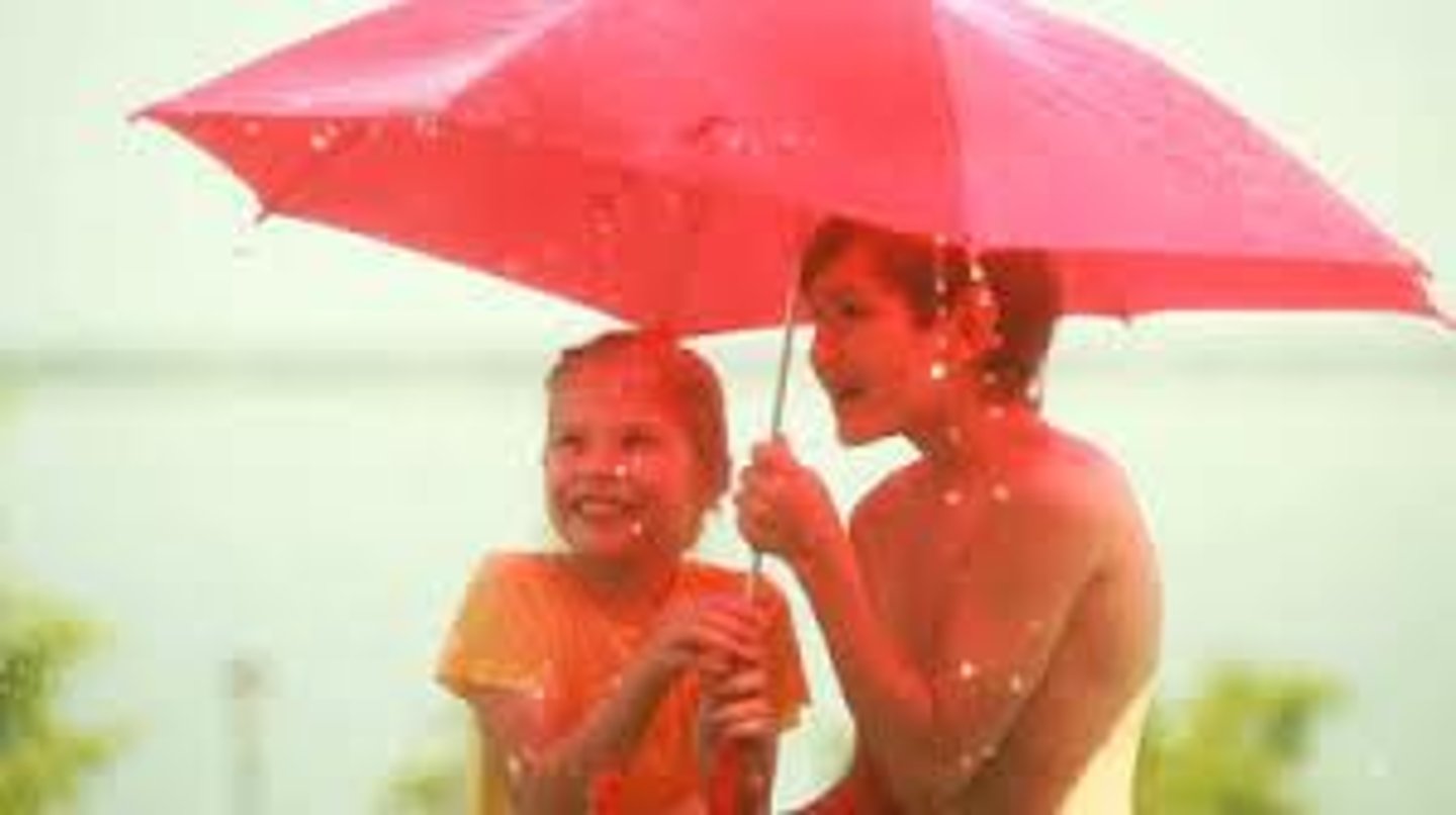 <p>to take shelter</p>