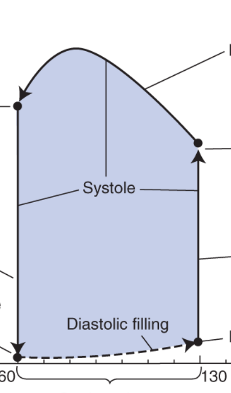 <p>what does the left line represent? </p>