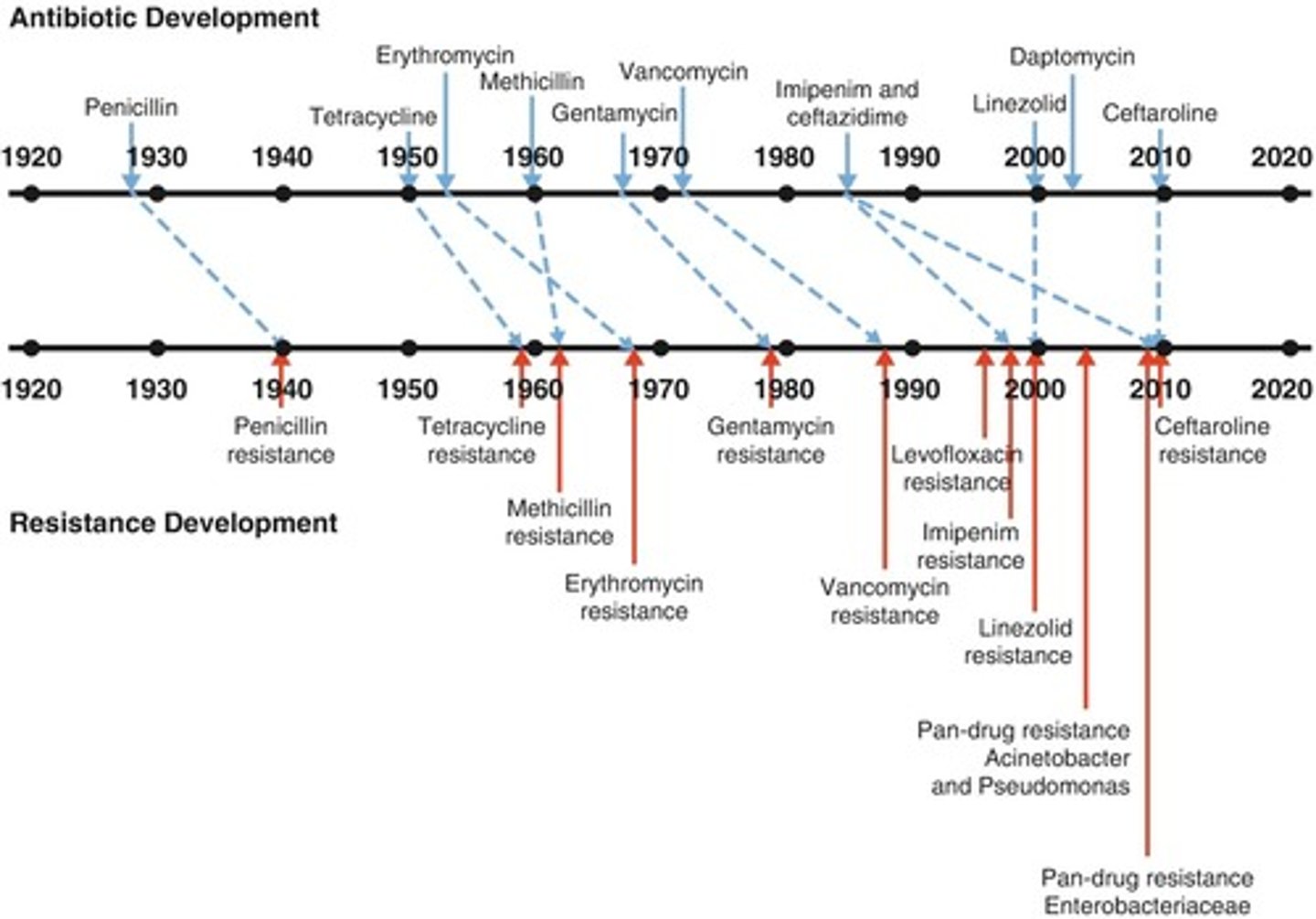 <p>Bacteria's ability to survive antibiotic treatment.</p>