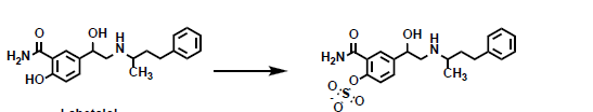 <p>What phase 2 reaction is being shown here?</p>