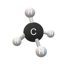 <ul><li><p><strong>4 valence electrons</strong></p></li><li><p><strong>Great bonding</strong></p></li><li><p><strong>Covalent bonds</strong> (strong)</p></li><li><p><strong>Atoms attach</strong> to a <strong>carbon compound</strong>, giving it a&nbsp;<strong>special property / shape</strong></p><ul><li><p>Most are polar (+) (-)</p></li></ul></li></ul><p></p>