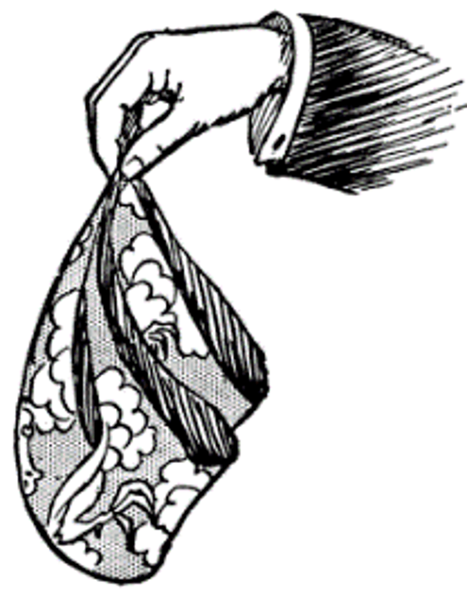 <p>handkerchief; kleenex</p>