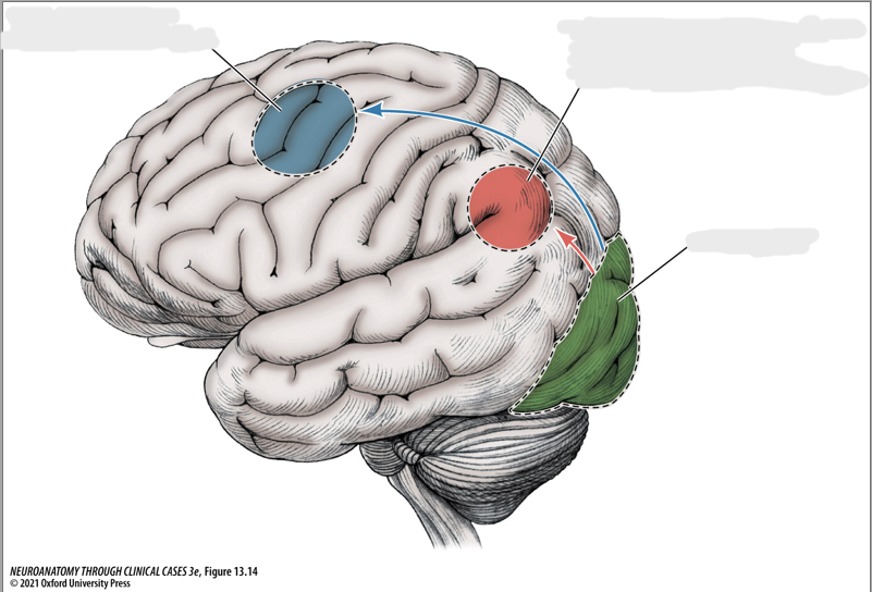 <p>Red area (POTA) + action</p>