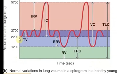 <p>after you <em>normally</em> exhale, it’s the max amount that you can inhale </p><p></p><p><strong>(TV+IRV= 3.5L)</strong></p>