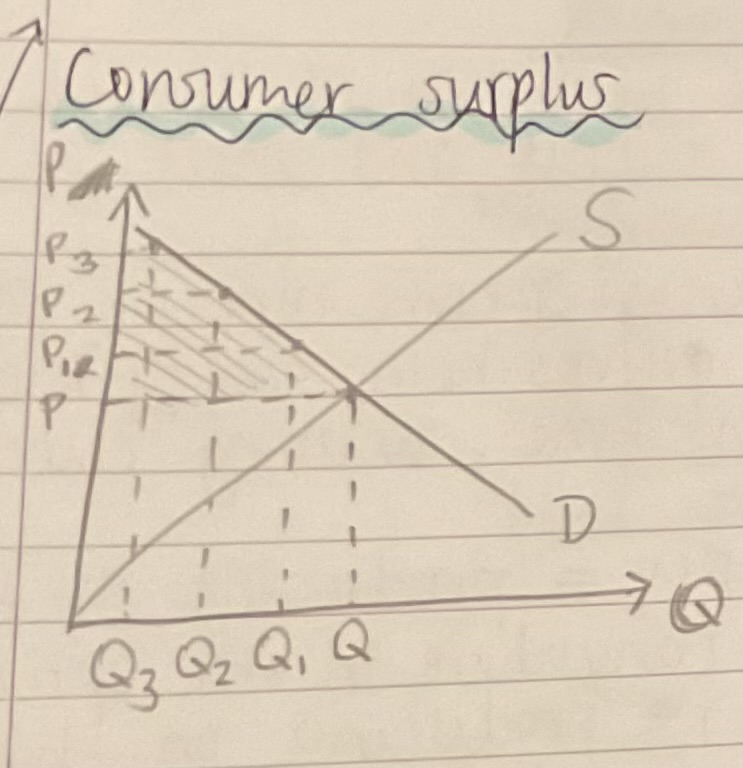 <p><span>The shaded area beneath the demand curve but above the equilibrium price</span></p>