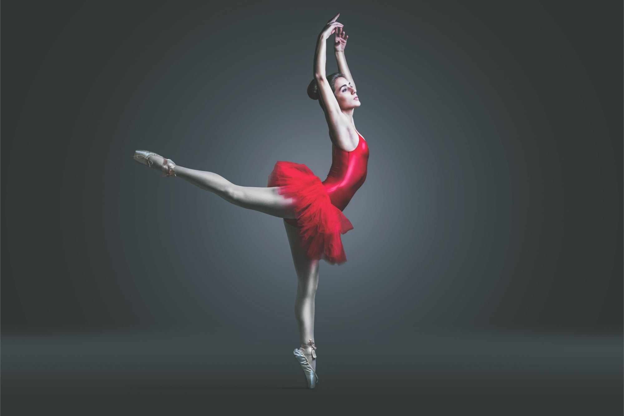 <p><br><span>graceful</span></p>