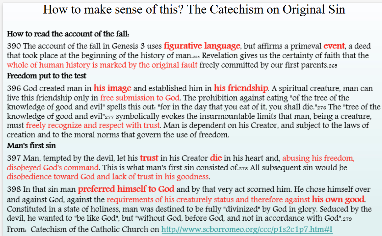 <p>whole of human history is affected by the fall (we know this through revelation)</p><p>god created man in his image and wanted to be friends with him. man is dependent on his Creator, and subject to the laws of creation and moral norms that govern the use of freedom</p><p>man abuse trust in God and showed disobedience </p><p>man began to prefer himself to god and chose against him for his own good</p>