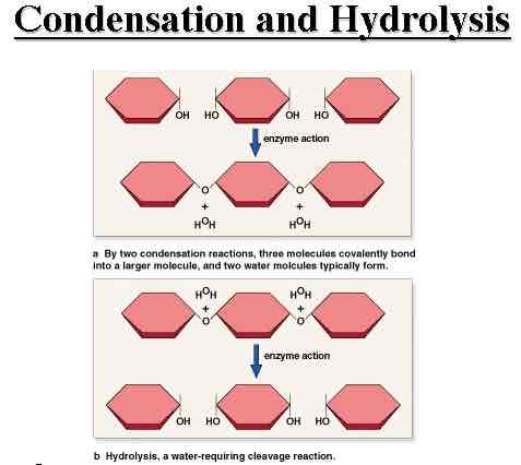 <p>How does condensation occur?</p>