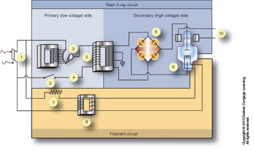 <p><span>What is apart of the Filament circuit? (Beige)</span></p>