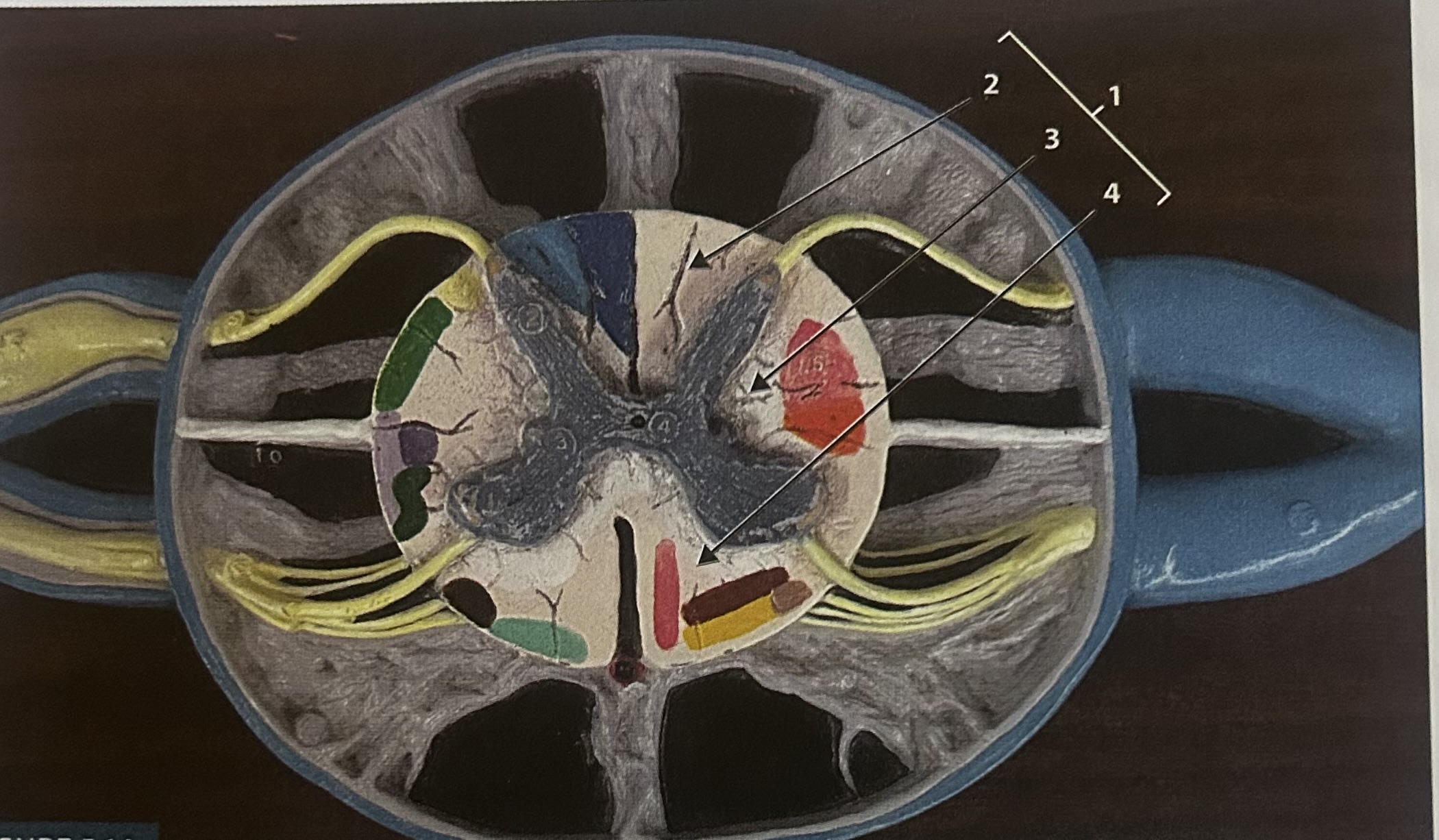 <p>1</p>