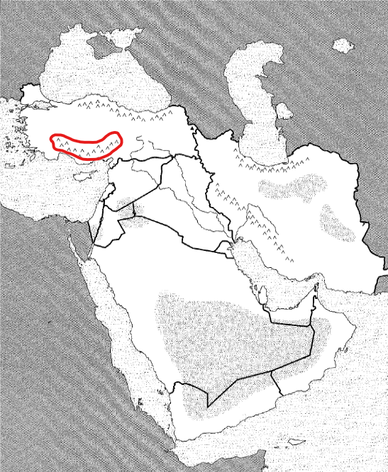 <p>Physical</p>