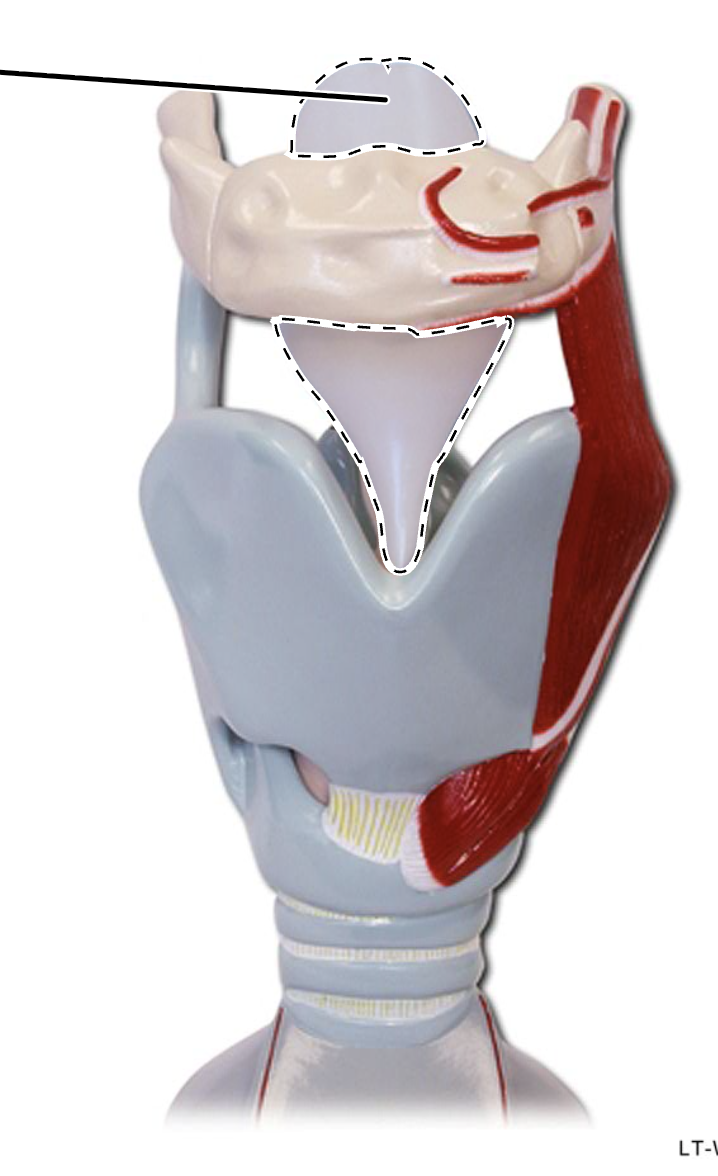 <p>What is this?</p>