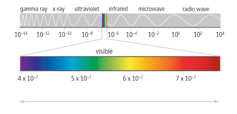 <p>Pigment that absorbs light at a specific wavelength</p><ul><li><p>absorbs light energy</p></li><li><p>Absorbs some wavelengths of light and reflects others</p></li><li><p>Why leaves appear green</p></li></ul><p></p>