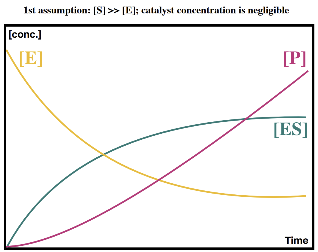 <p>The product line gradient maxes out as the ES line plateaus.</p>