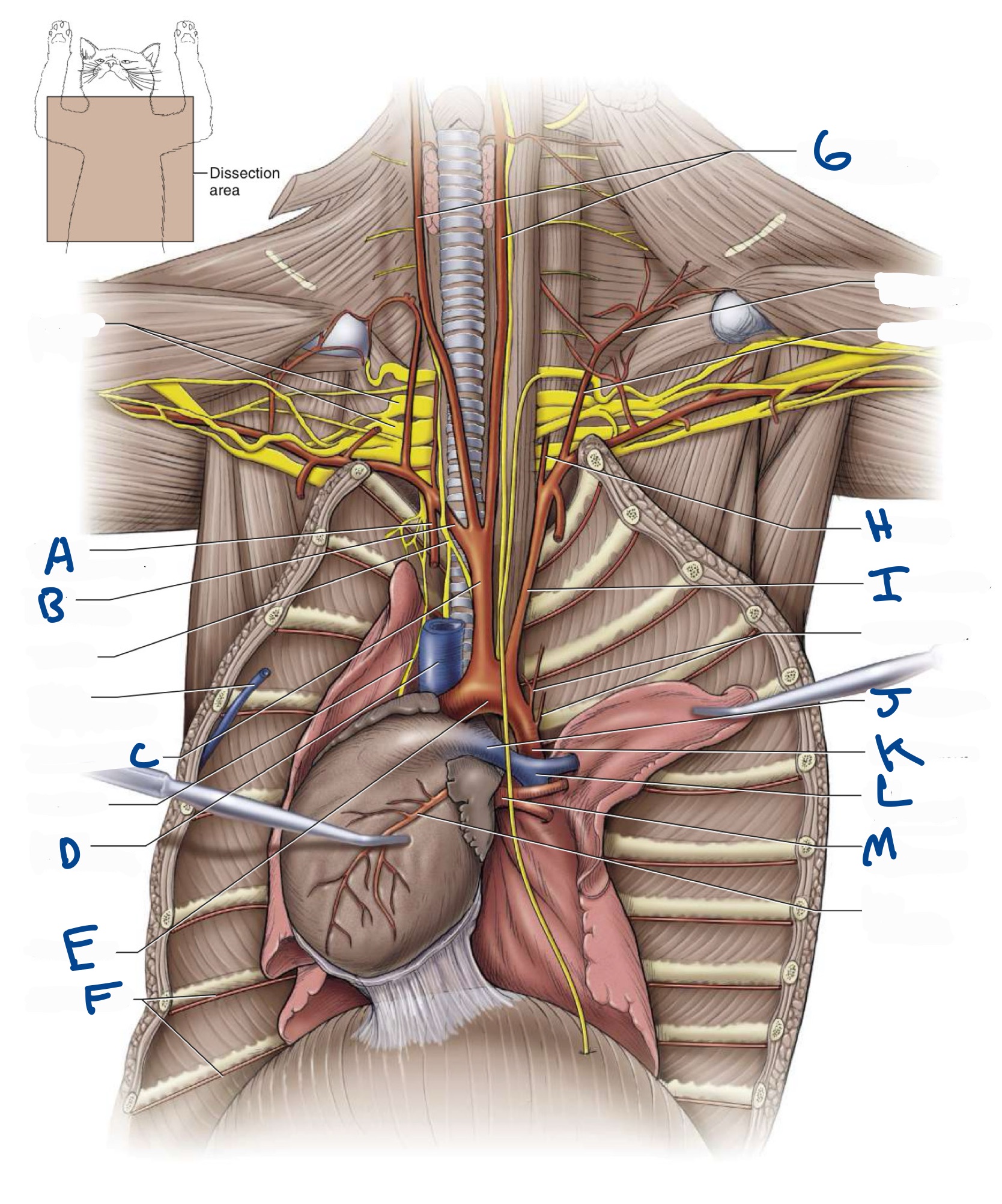 <p>What is E?</p>