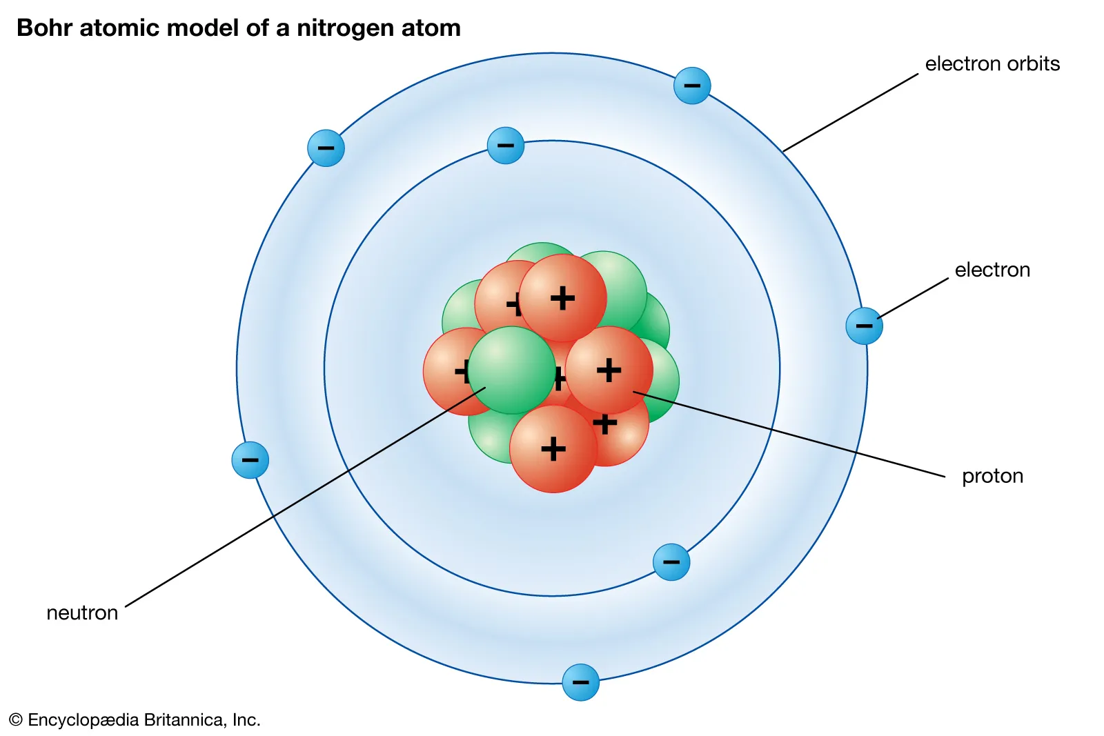 <p>The nuclear model of the atom states that atoms have a small, dense nucleus at the center, composed of protons and neutrons. Electrons orbit the nucleus in specific energy levels or shells.</p>