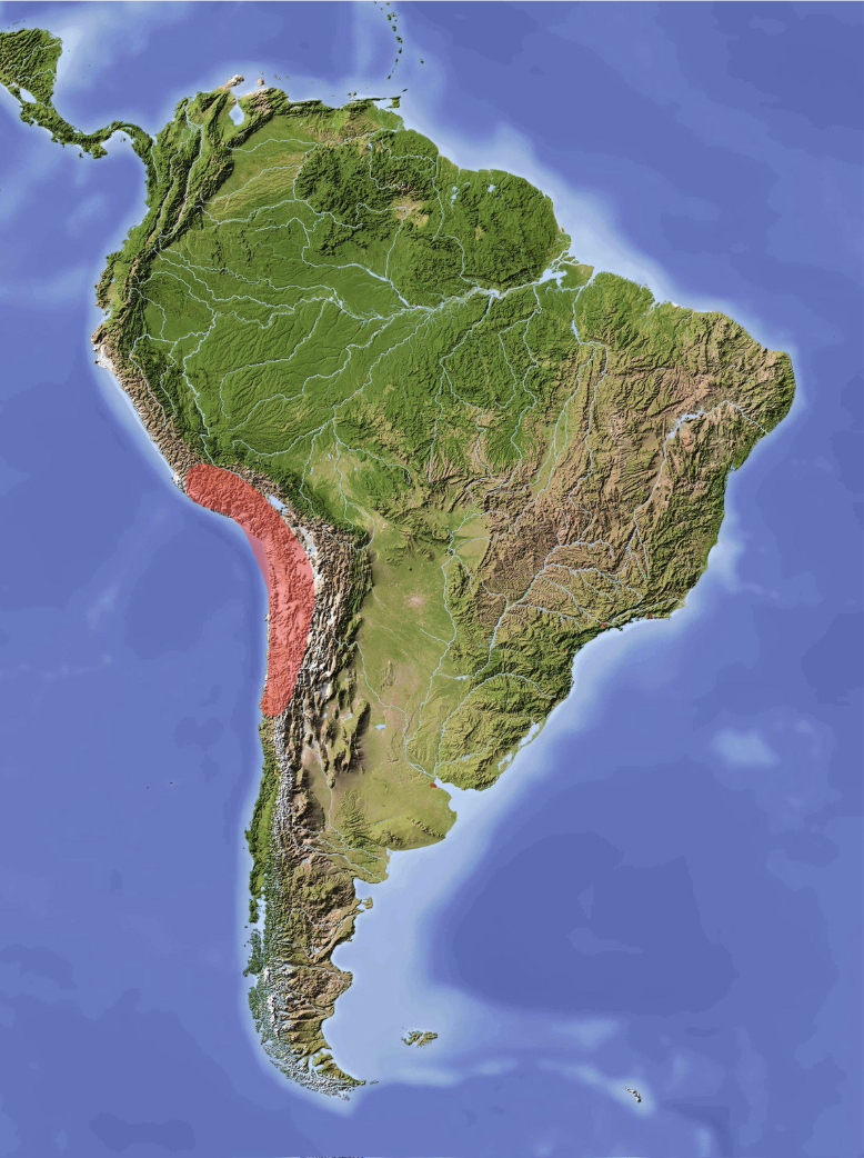 <p></p>