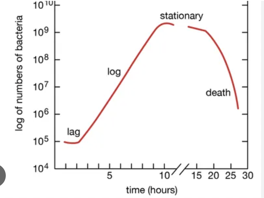 <p><span>In the Deepwater Horizon oil spill, microbial succession followed the typical growth curve.&nbsp;</span><em>Pseudomonas</em><span>&nbsp;rapidly increased during the&nbsp;</span><strong>exponential phase</strong><span>, taking advantage of abundant simple hydrocarbons and oxygen for fast growth. As conditions changed,&nbsp;</span><em>Methylomonas</em><span>, which can use methane, became more prominent during the&nbsp;</span><strong>stationary phase</strong><span>, when resources became more specialized. Later,&nbsp;</span><em>Saprospiraceae</em><span>&nbsp;increased in abundance, likely thriving on more complex breakdown products and microbial debris—characteristic of the&nbsp;</span><strong>death or long-term stationary phase</strong><span>. This succession reflects how different bacteria dominate at different phases based on nutrient availability and environmental conditions.</span></p>