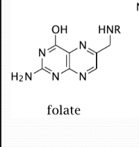 <p>Folate is a general term for any of the vitamin folic acids.</p><p class="p1">Folates have the pteridine ring attached to para-amino-benzoate with one or more glutamate residues.</p><p></p>