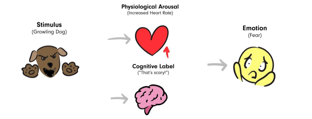 <p>Emotions do not exist until we label them</p>