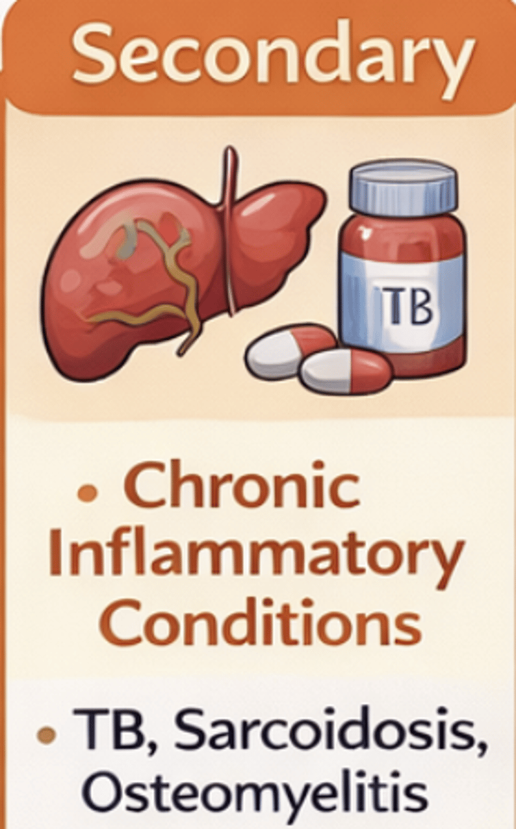 <p>-result of chronic inflammatory process (AA - cleavage fragments of circulating acute-phase reactant protein) </p><p>-causes: sarcoidosis, tuberculosis, osteomyelitis</p><p>-liver, kidney spleen, adrenal involvement (heart spared)</p><p>-rare in developed countries</p>