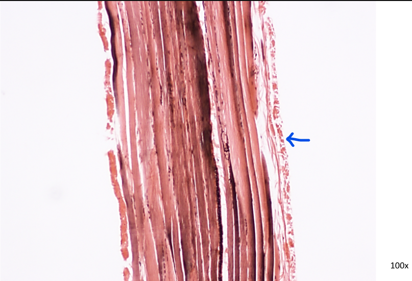 <p>What is this?</p>