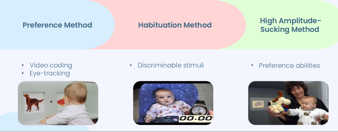 <ul><li><p>Preference method</p><ul><li><p>Video coding</p></li><li><p>Eye tracking</p></li></ul></li><li><p>Habituation Method</p><ul><li><p>Discriminable stimuli</p></li></ul></li><li><p>High Amplitude- Sucking Method</p><ul><li><p>Preference abilities</p></li></ul></li></ul><p></p>