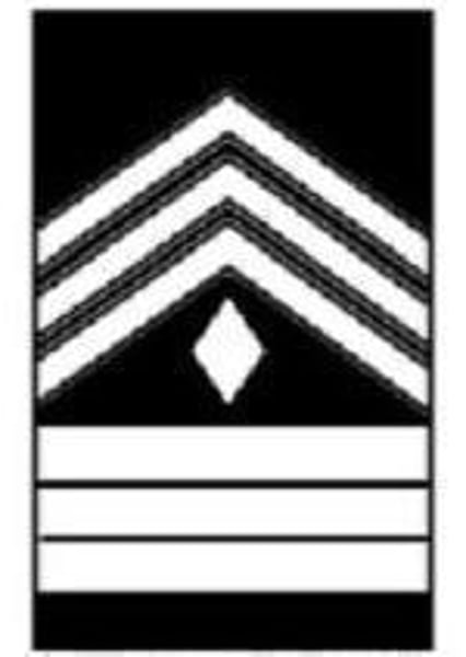 <p>3 Chevrons 3 Bars 1 Diamond</p>