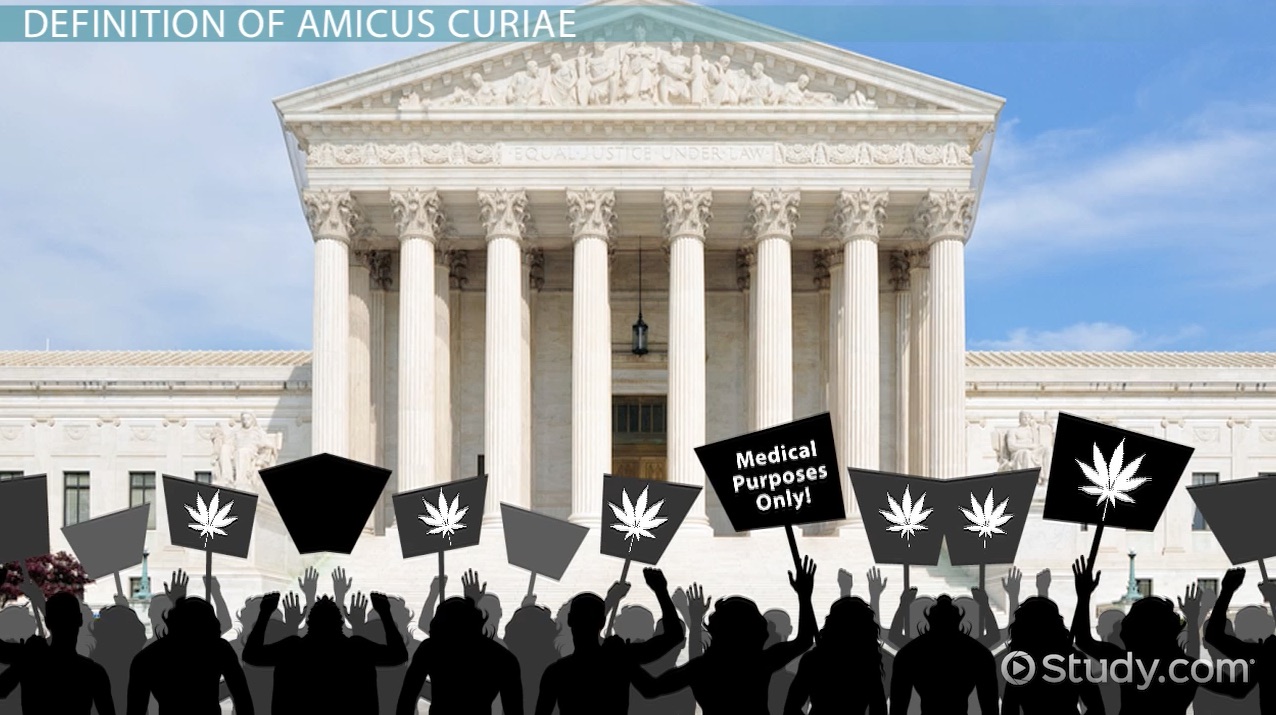 <p><mark data-color="green">Amicus Briefs</mark></p>