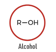 <p>An organic compound containing a hydroxyl group (-OH) attached to carbon.</p>