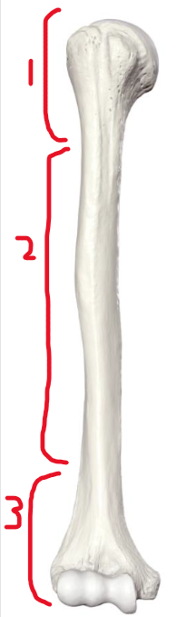 <p>1</p>