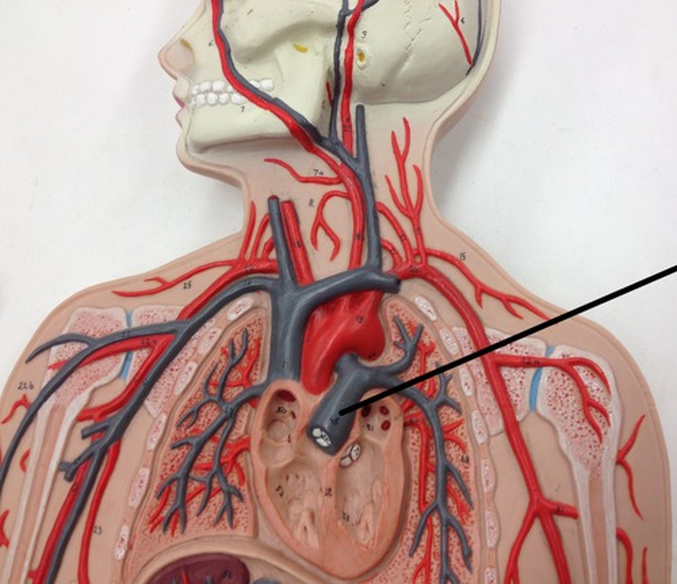 <p>What structure?</p>