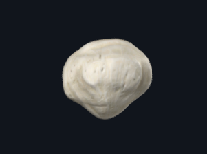 <p>What is this bone called?</p>