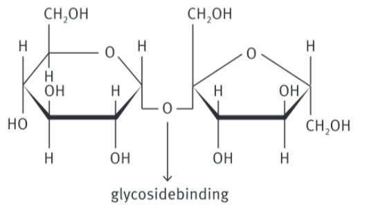 <p>= disacharide opgebouwd uit a-glucose en b-fructose. </p>