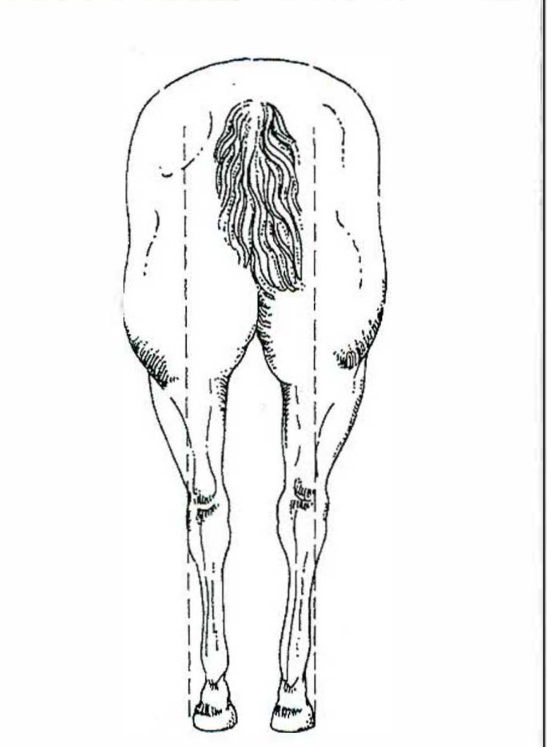 <p>Base narrow </p>